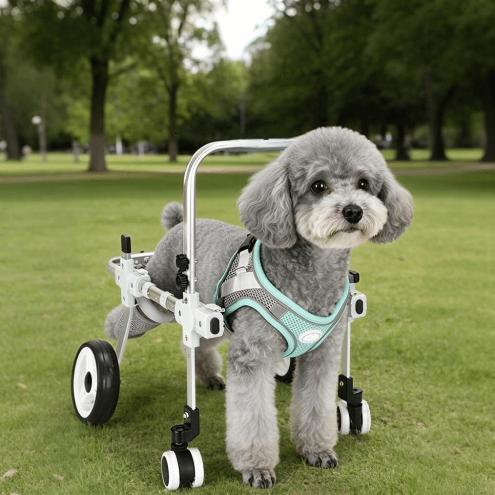 Breathable Harness Pet Rehabilitation Cart Disabled Pet Walking Aid  Rehabilitation Training