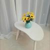 Masă de canapea cu 2 niveluri pentru depozitare și expunere, Mobilier mic modern pentru living și casă, Mese de cafenea