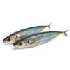 Pesca – Wobblers, iscos e anzóis