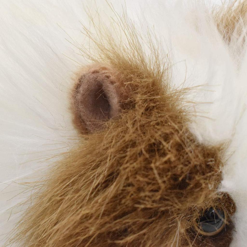 BH3735 HANSA Meerschweinchen 20