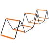 Multi-functional Agility Training Ladder