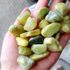 Children's Treasure Hunt: Mixed Crystal, Agate, and Gold Ore