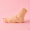 Realistic Foot Model Rigid Construction PVC Matte Finish for Shoe Fitting Female Left