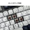 Keychron C3 Pro Custom Gaming Keyboard, Compact Tenkeyless LayoutJIS LayoutRGB BacklitWired Mechanical KeyboardHot-SwappableGasket MountDouble-Shot