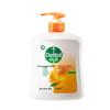 Natural Fresh Antibacterial Hand Wash (2 X 500g)