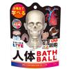 Set of 5 Gakken Illustrated Live Human Body Bath Balls with Thank You Includes a Mascot and Perfect for Bath Carbonated Bath and a Mini Illustrated