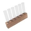 Glass Plant Propagation Station Plant Propagation Tubes Desktop Plant Terrarium With Wooden Stand Mini Test Tube Home Decor 6 Tubes