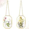 Octagonal Geometric DIY Glass Pressed Flower Hanging Frame - Modern Floating Transparent Photo Display