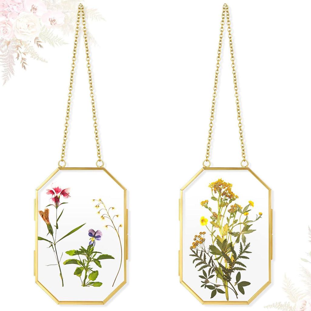 Octagonal Geometric DIY Glass Pressed Flower Hanging Frame - Modern Floating Transparent Photo Display