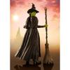 TAMASHII NATIONS S.H. Figuarts Elphaba (Wicked) approx. 135 mm PVC & ABS pre-painted action figure