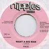 7inch Record ITALEE  Want A Big Man None Nipples Product 2000 Jamaica Reggae Ska  Dub Used
