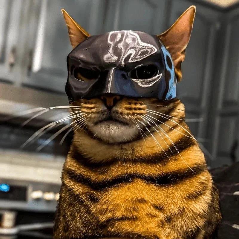 Cat Avenger Mask Bat Halloween 3D Printed Cosplay Hat Cat  Funny Toys Photos Props Pet Accessories