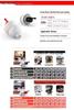 Alpine Netherlands Motorcycle Safety Earplugs for Noise Reduction in Cycling and Driving