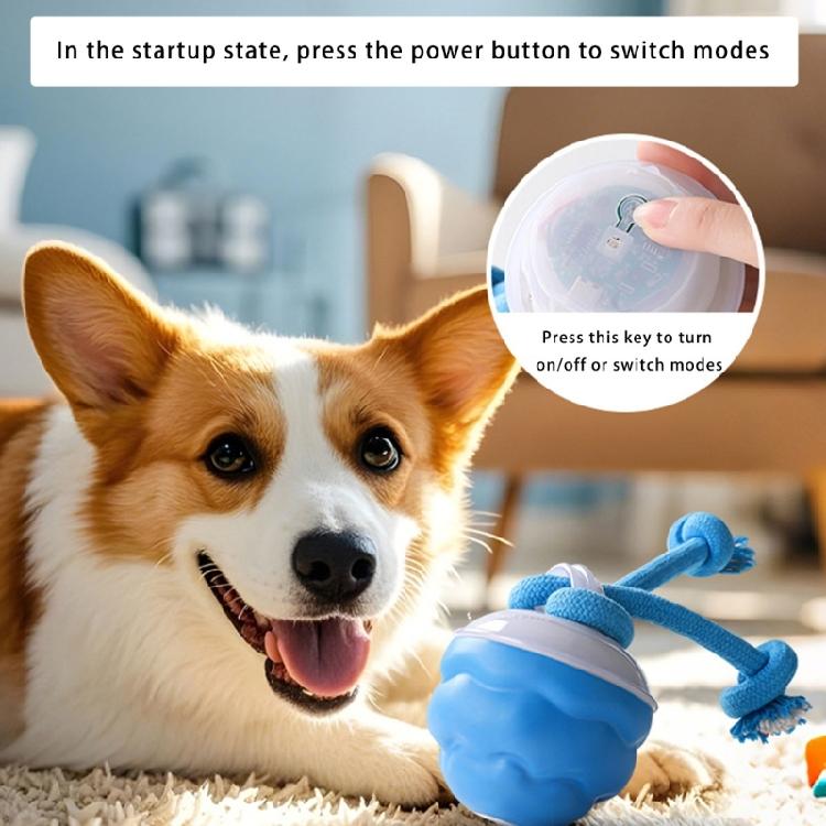 Wiederaufladbarer USB-Hundespielzeug Kauspielzeug Seilball Spielzeug Interaktion Bewegungsaktivierter Rollball für Verschiedene Rassen Fesselnd