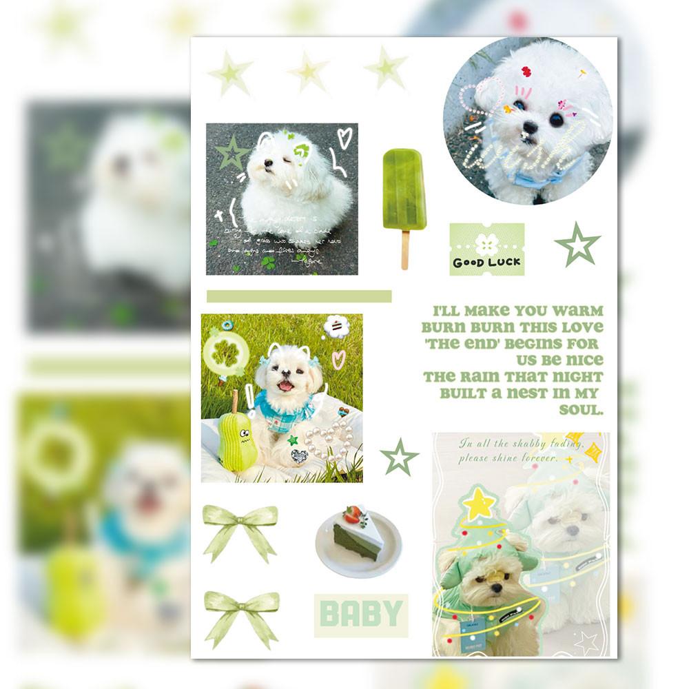 8-Piece Ins Style Puppy Stickers - Cute Decorative Decals for Phone Cases, Notebooks & Water Bottles