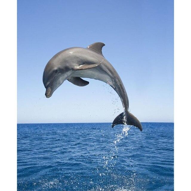 5D Diamond Painting Full Square Round Dolphin Diamond Embroidery Sale Animals Diamond Mosaic Picture of Rhinestone Home Decor