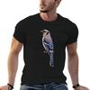 Blue Jay T-Shirt T Shirt Men 100% Cotton Luxury Brand Anime T Shirts Oversize T Shirt Man Desig