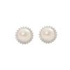 Silver needle sunflower pearl stud earrings women's high-end sense light luxury niche earrings new trendy popular earrings