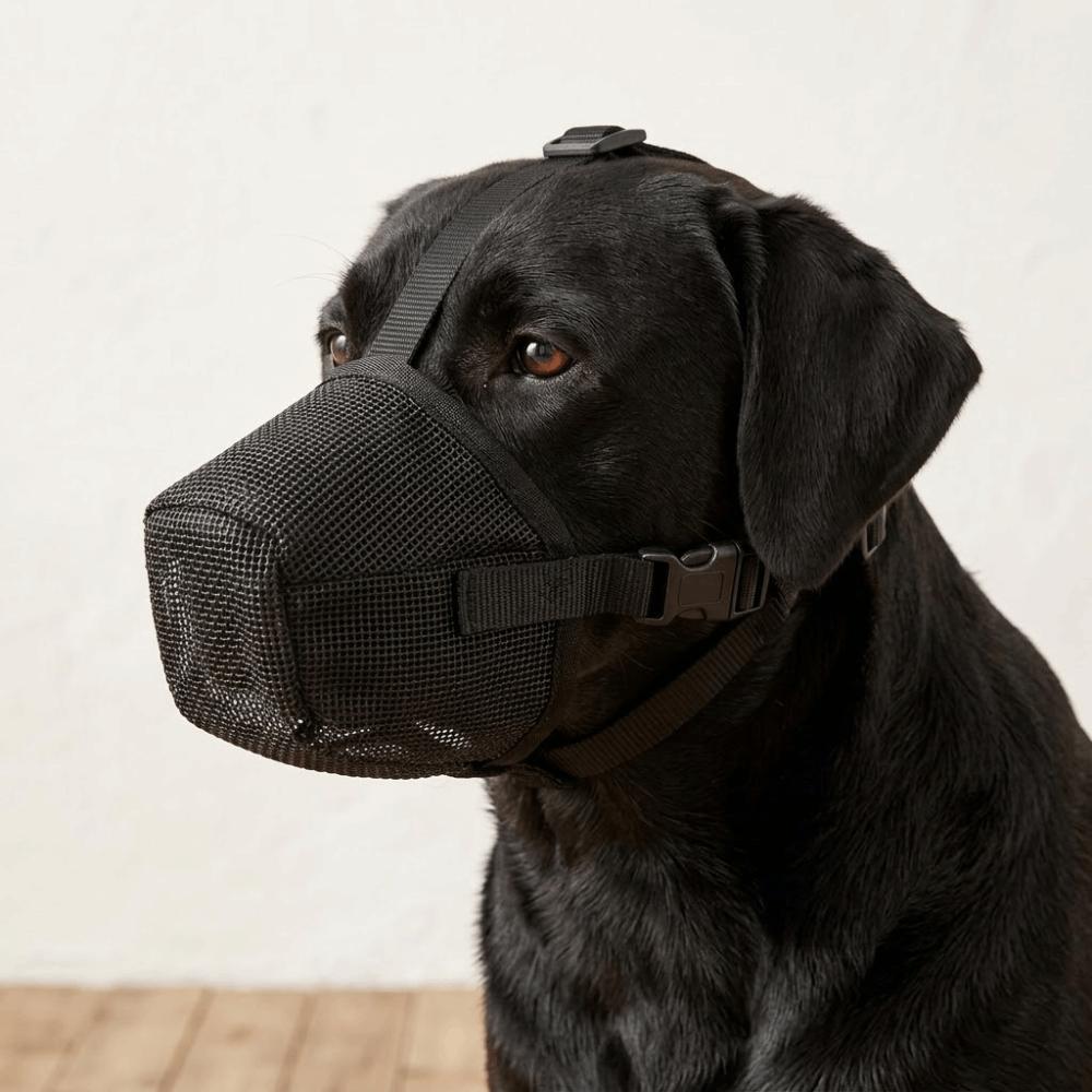 Grid Breathable Pet Mouth Cover Long Snout Fit Dog Bite Guard Pet Mouth Muzzle Anti Scavenging