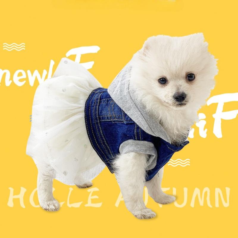

Dog Clothes Small Dog Autumn and Winter Teddy Bichon Pomeranian Puppies Cute Trendy Pet Four-legged Clothes Winter Cotton Clothe XL (within 8kg)