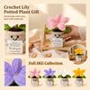 Hand Knitted Bouquet in Pot with Uplifting Sentiment Card - Artificial Plant Home Decor