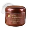 Snail Repairing Cream 100ml – Intensive Repair & Hydrating Snail Mucin Moisturizer