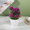 Flower Pot Plastic With Twelve Ball Chrysanthemum For Indoor Decoration
