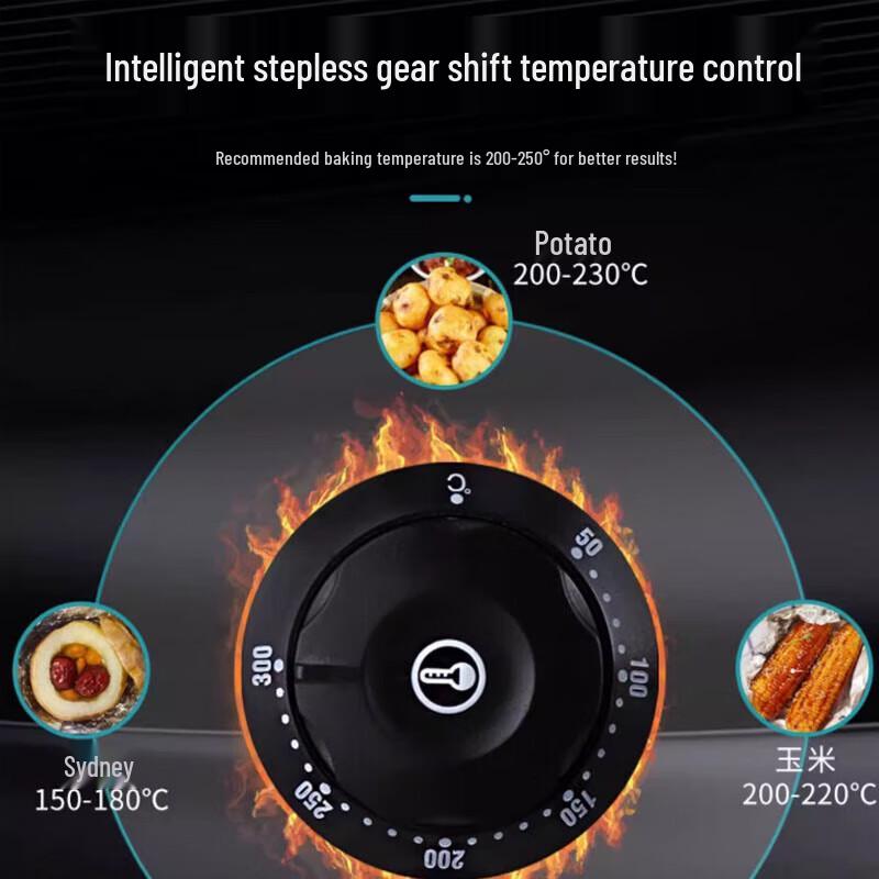 Commercial Multi-functional Roasting Oven