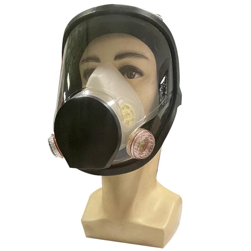 

HuliDun CF6800 Full Face Respirator Mask Kit