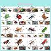 Realistic Insect Toy Model Collection For Kids And Education