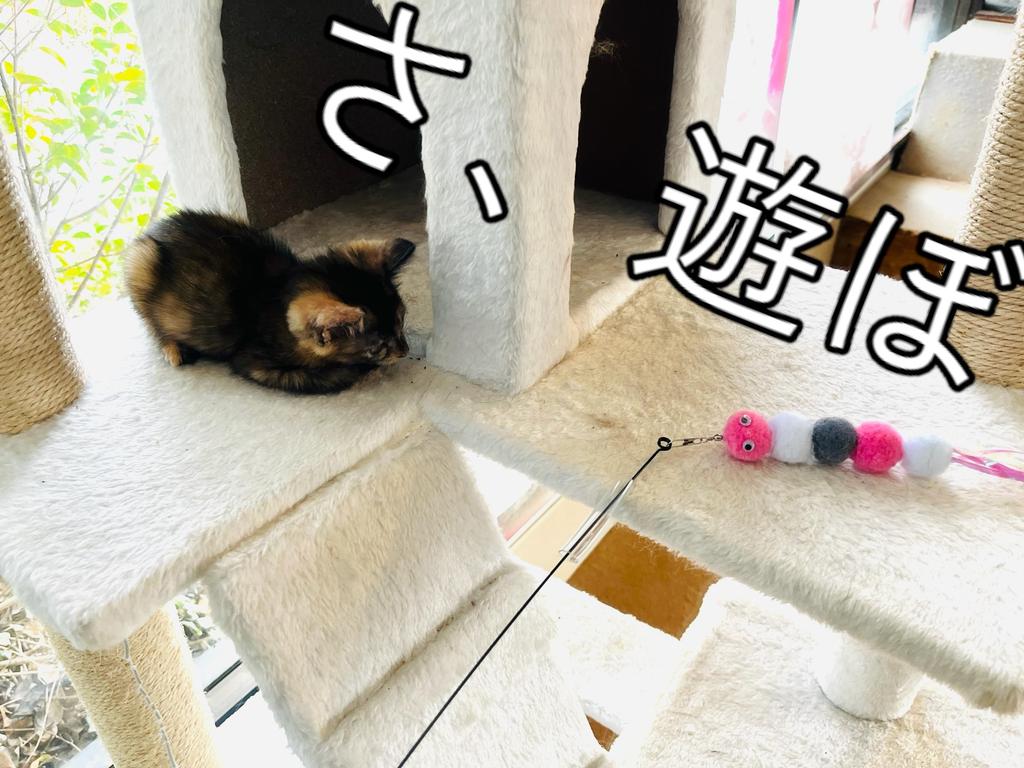 Cat Hapi Cat Toy, Supervised by a Cat Cafe Manager, Cat Teaser Toy, Hattifattener Dragonfly (Red)