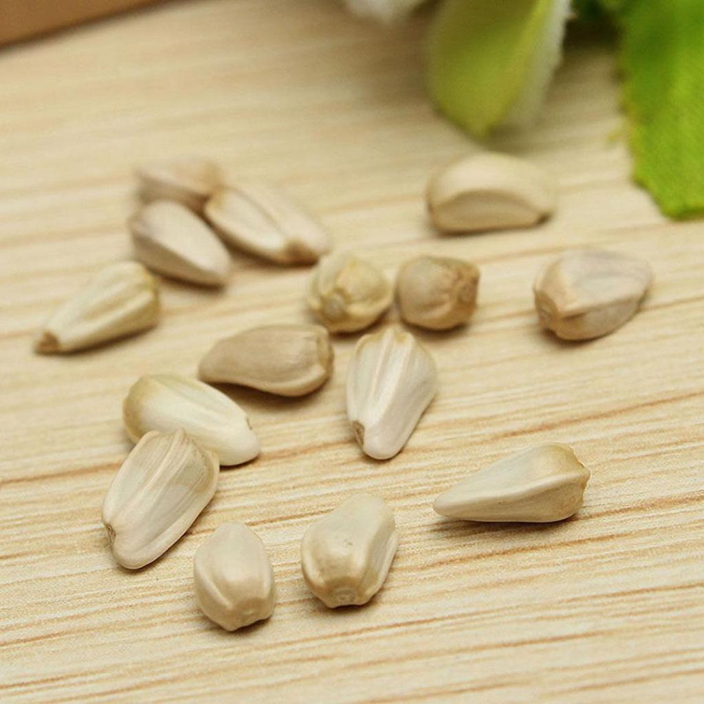 microgreen bio saatgut Bio-Sprossen Samen-Set Mild (4 Sorten) kaufen