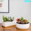 FaceColor Ceramic Succulent Cactus Set of 2 Round and One Mini Bonsai Pots with Drainage Holes and White Suitable for Living and Gardens Not Pots,