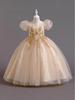 Girls' Luxury Princess Puffy Skirt Formal Dress - Flower Girl Wedding & Performance Costume