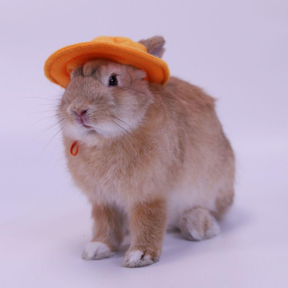 Felt Small Animals Bucket Cap With Ear Holes Breathable Hamster Fisherman Hat Pet Clothing Accessories Lightweight