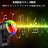 Litake LED Mirror Ball Disco Light for Home Use, 7 Colors, RGB, Rotating, Remote Control, Voice Activation, Multi-Color Changing