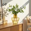 Indoor Hydroponic Plant Pot Clear Vase Glass-Like Plastic Holder Modern Vase for Plants Table Centerpiece Home Desk Shelf Decoration Transparent