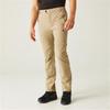 Long Sports Trousers Regatta Highton Z/O Beige Men