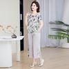 Chic Summer Set: Stylish Two-Piece Short-Sleeve Outfit for Middle-Aged and Elderly Women