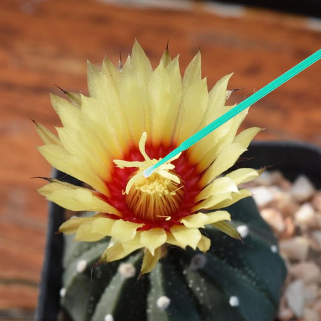 OUNONA Artificial Pollination Manual Pollination Tool for Pollination Set of Hand Manual Gardening Home Green Brush, Plants, 9.5cm Wands, 100,