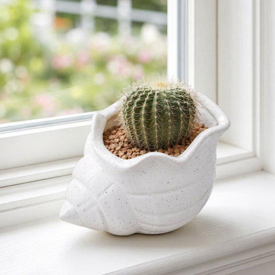 3D Printed Conch Flower Pot Moisture-Resistant Mini Planter with Wavy Edge And Drain