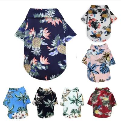Ropa y calzado – Chalecos y camisas para perros