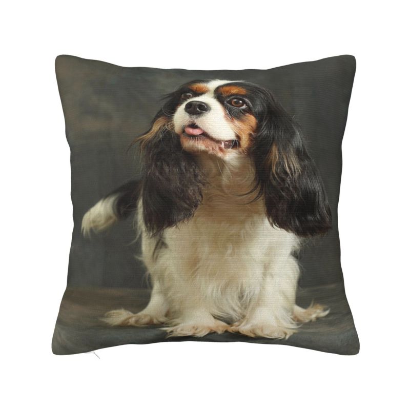 Custom Modern Cavalier King Charles Spaniel Cushion Cover for Sofa Velvet Cartoon Dog Pillow Case Bedroom Decoration