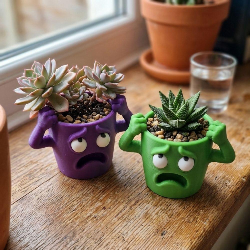 3D Printed Funny Face Succulent Planter Novelty Quirky Face Desktop Flower Pot Gardening Gift