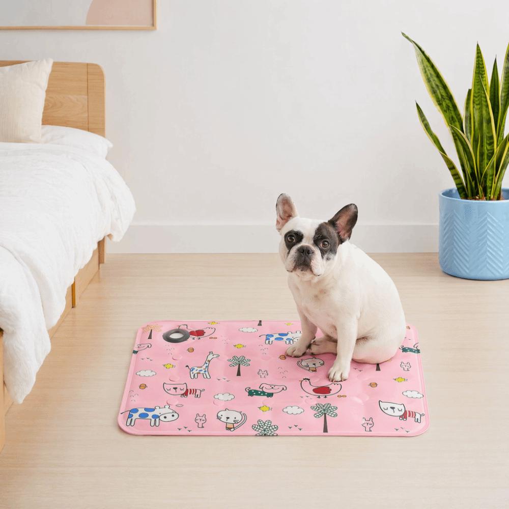 Cartoon Pet Cooling Mat Anti Bite Pet Ice Cushion Floor Mat Cat Sleeping Pad for Small Dogs