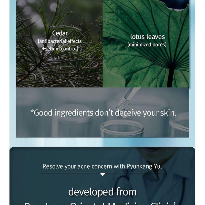 Pyunkang Yul Acne Dressing Mask Pack