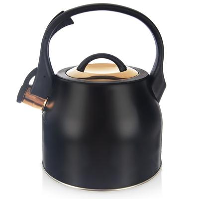 Black Gold Steel Kettle with Whistle for Boiling Water On the Stove