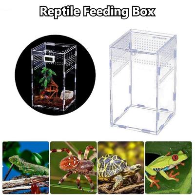 Reptilien Zuchtbox Acryl Display Behälter Hohe Lichtdurchlässigkeit Habitat Insekt Skorpion Spinne Eidechse Futterkäfig