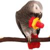 4pcs Bird Intellective Toys Nuts and Bolts for Parrot Parakeet Cockatiel Conure Macaw African Grey Cockatoo Budgie Lovebird Canary Cage Part