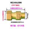 DN15 DN20 DN25 1/2" 3/4" 1" BSP Femmina Maschio Ottone Valvola di Ritegno Unidirezionale Non Ritorno Per Installazione Prima O Dopo il Contatore dell'Acqua